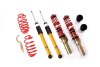VW BEETLE CONVERTIBLE - MTS STREET COILOVER SUSPENSION KIT (30-70|25-50)