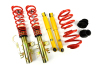 VW T5 - MTS STREET COILOVER SUSPENSION KIT (30-70|30-60)